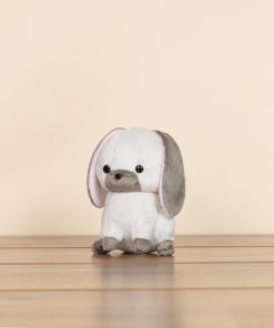 Mini Lop Bunni the Lop Rabbit