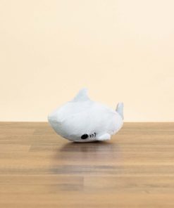 Mini Sharki the Shark