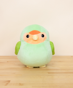 Lovi the Green Lovebird