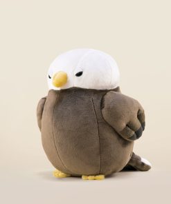 Baldi the Bald Eagle