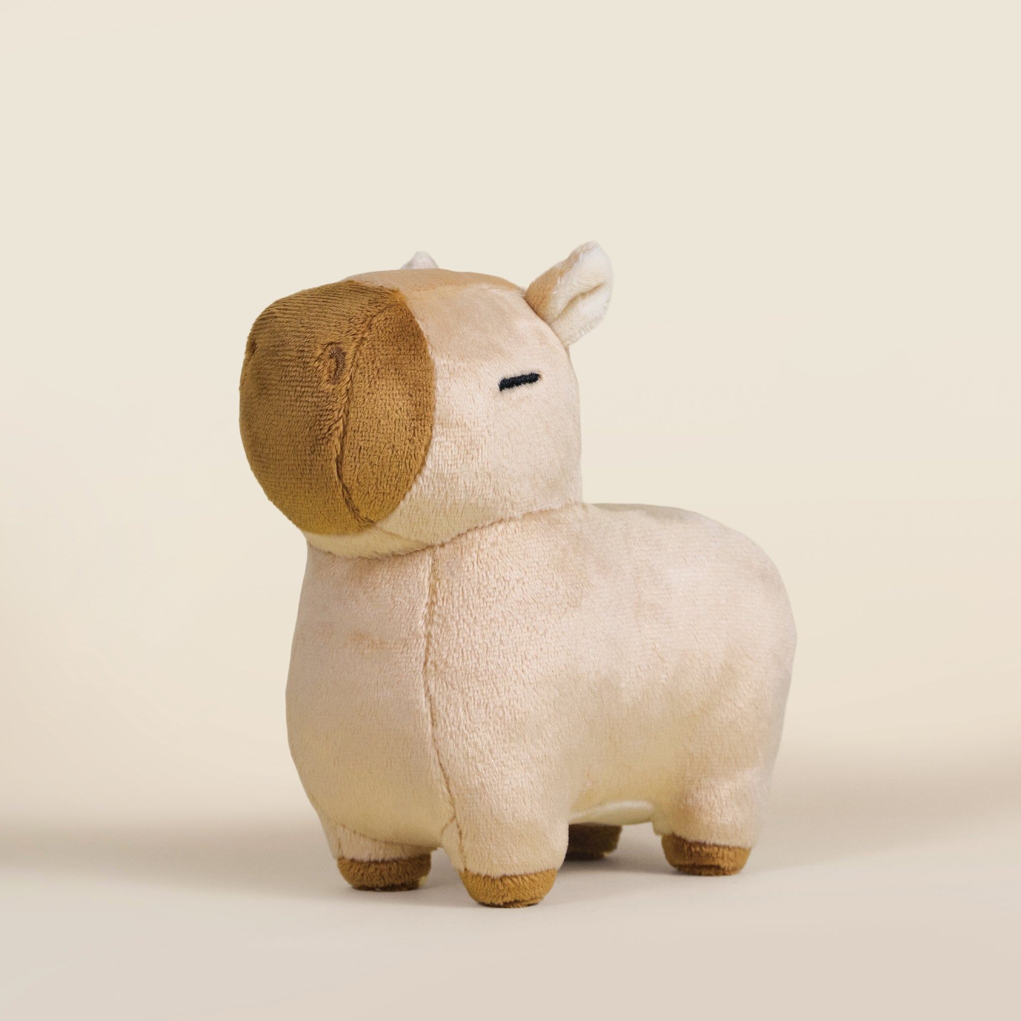 Mini Cappi the Capybara