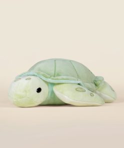 Sea Torti the Sea Turtle