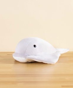 Stingi the Sting Ray